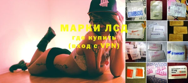 амф Пестово