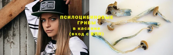 амф Пестово