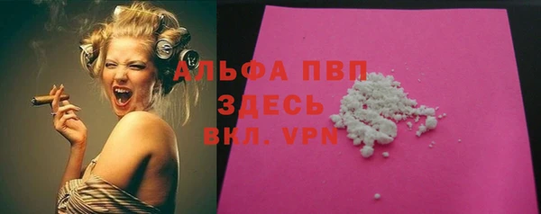 амф Пестово