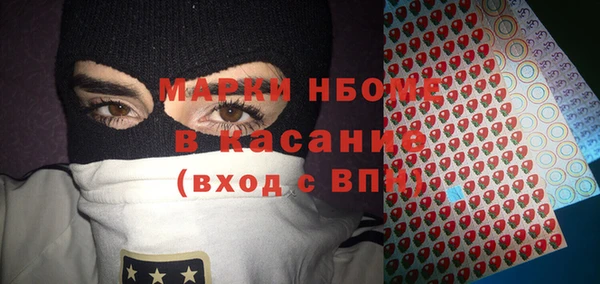 амф Пестово