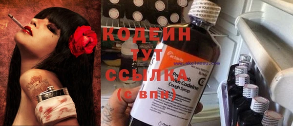 амф Пестово
