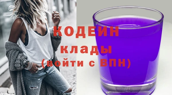 амф Пестово