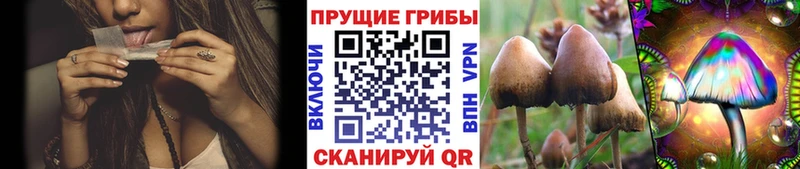 Псилоцибиновые грибы MAGIC MUSHROOMS продажа наркотиков Троицк
