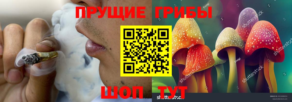 Галлюциногенные грибы Psilocybine cubensis  Вход с VPN  Троицк 